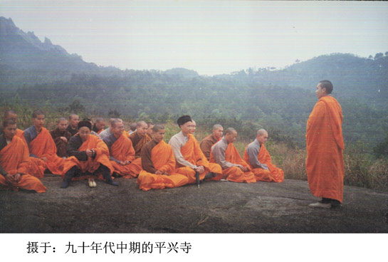 松林北风吼，房前春雨飘。