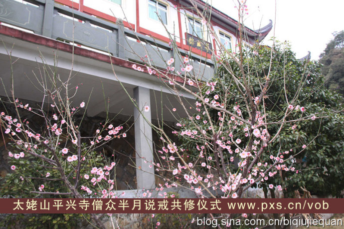 平兴寺诵戒（片段）http://www.pxs.cn/vob/content/?10450.html视频